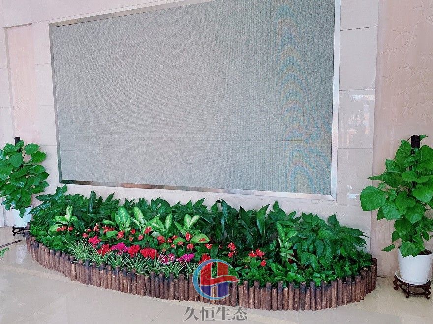 镇海企业大厅显示屏组合花卉绿植摆放
